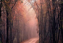 🎤安切洛蒂：奥尔莫非常优秀，他若上场我们尽最大努力防守.