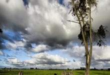 纳帅：很欣赏基米希的比赛态度，他每一次登场都会全力以赴.