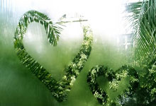 问鼎娱乐：[中超]巴尔加斯横传中路 武磊头球破门扳平比分.